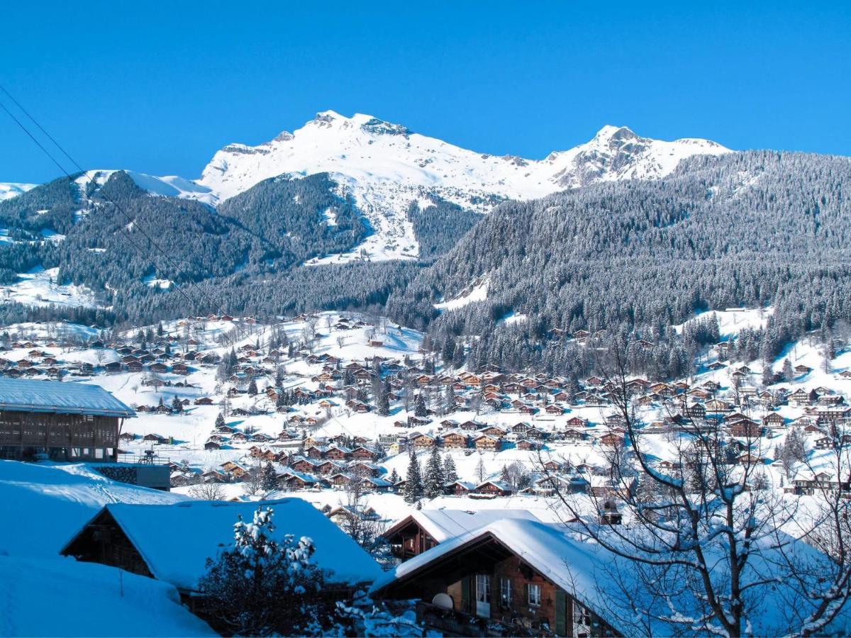 Apartment Chalet Abendrot-27 Grindelwald Buitenkant foto